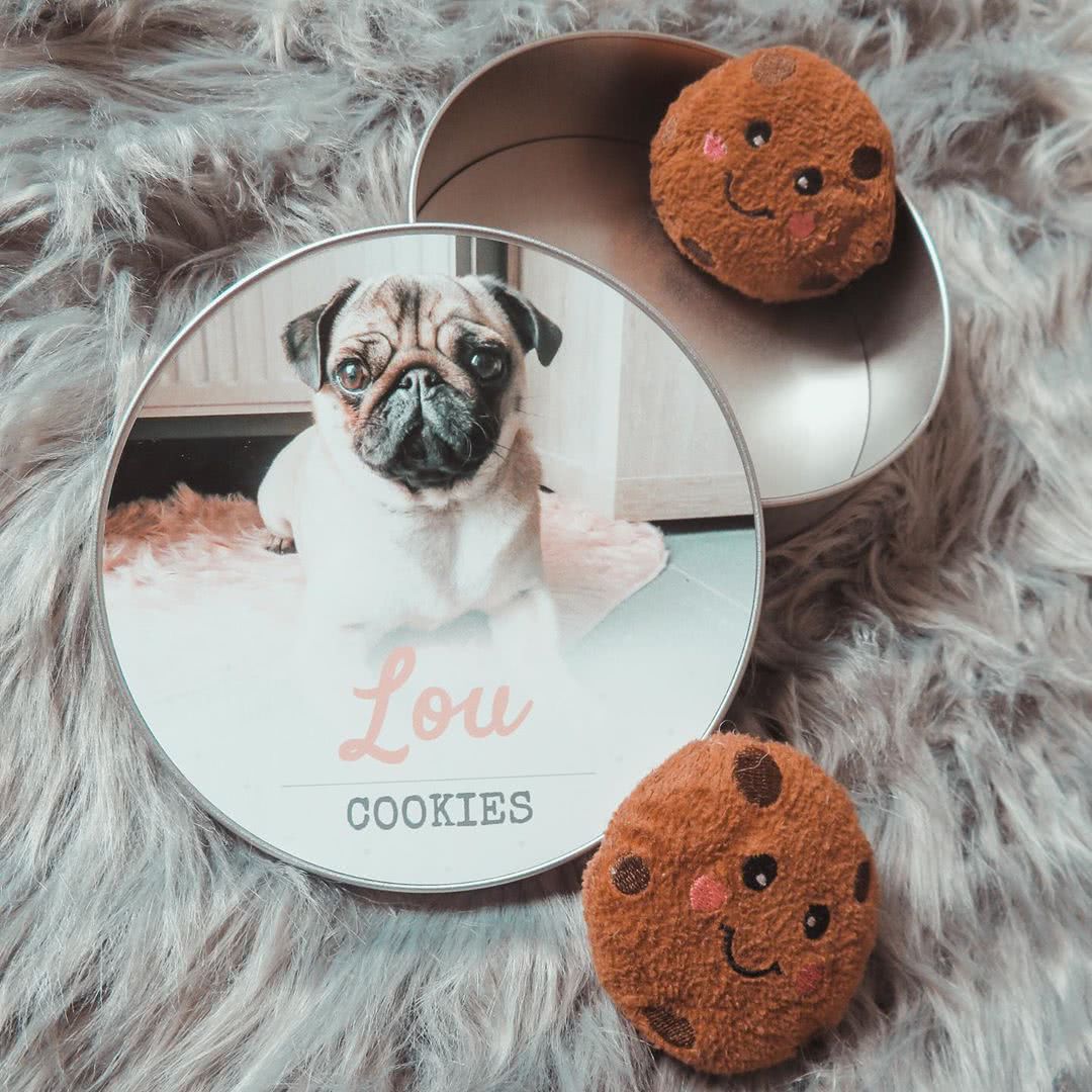@littlelouthepug2